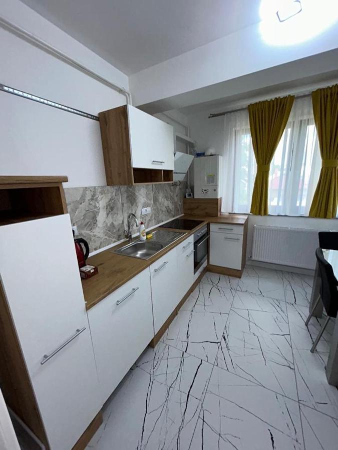 Marvellous Aparthotel With Master Apartments Suczawa Zewnętrze zdjęcie